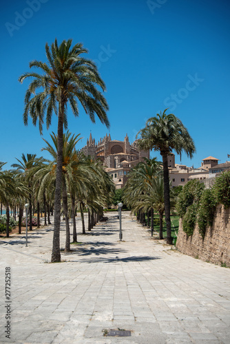 Majorca 2019: Cathedral La Seu of Palma de Mallorca on a sunny summer day with blue sky. Image composition with lots of palm trees in the foreground and small cathedral in the background