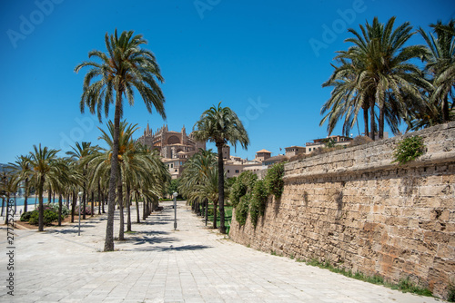 Majorca 2019: Panoramic view of Cathedral La Seu of Palma de Mallorca on a sunny summer day with blue sky. Image composition with lots of palm trees and old mural in the foreground
