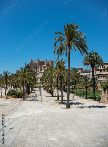 Majorca 2019  Cathedral La Seu of Palma de Mallorca on a sunny summer day with blue sky. Image composition with lots of palm trees in the foreground