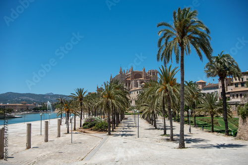 Majorca 2019  Panoramic view of Cathedral La Seu of Palma de Mallorca on a sunny summer day with blue sky. Image composition with lots of palm trees in the foreground