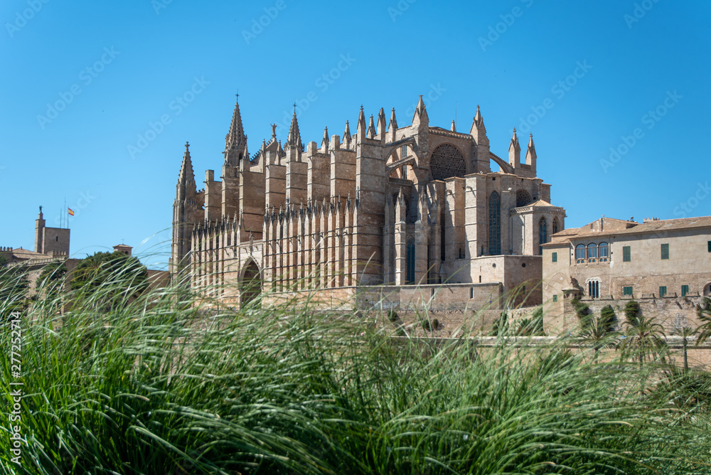 Majorca 2019: Cathedral La Seu of Palma de Mallorca on a sunny summer day. Composition with high grass in the foreground