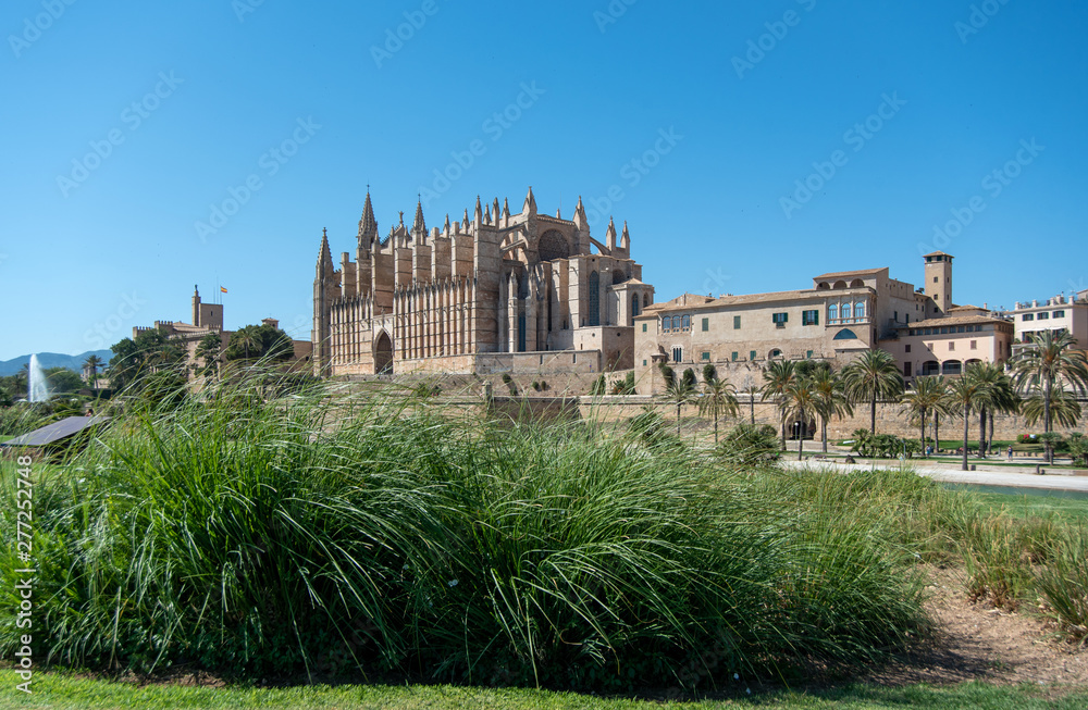 Majorca 2019: Panoramic view of Cathedral La Seu of Palma de Mallorca on a sunny summer day. Composition with high green blades of grass in the foreground