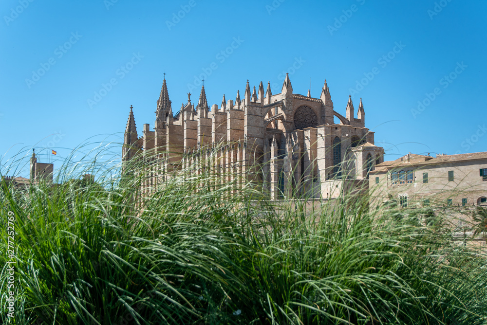 Majorca 2019: Cathedral La Seu of Palma de Mallorca on a sunny summer day. Composition with high grass in the foreground