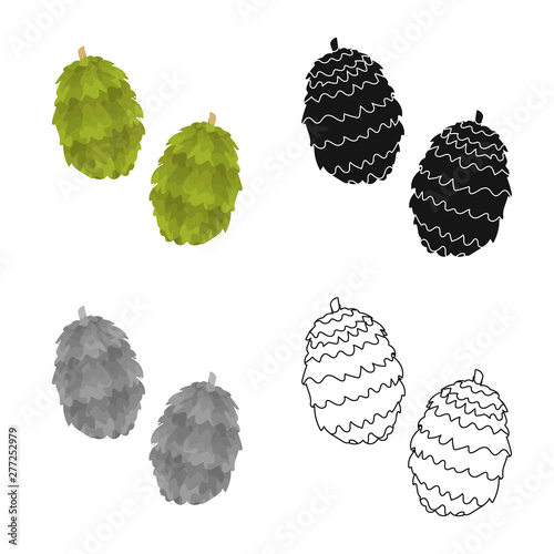 Vector design of humulus and plant symbol. Set of humulus and cone vector icon for stock.