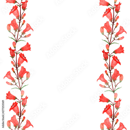 Watercolor vertical banner of red bells isolated on white background. Flower pattern for beautiful design of wedding invitations, greeting cards, saving date with space for text.