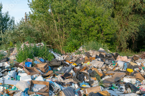 Εκτύπωση καμβά Unauthorized dumping of garbage in the forest