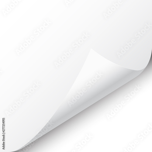 Curled page corner with shadow on white background. Blank sheet of paper. Vector illustration.