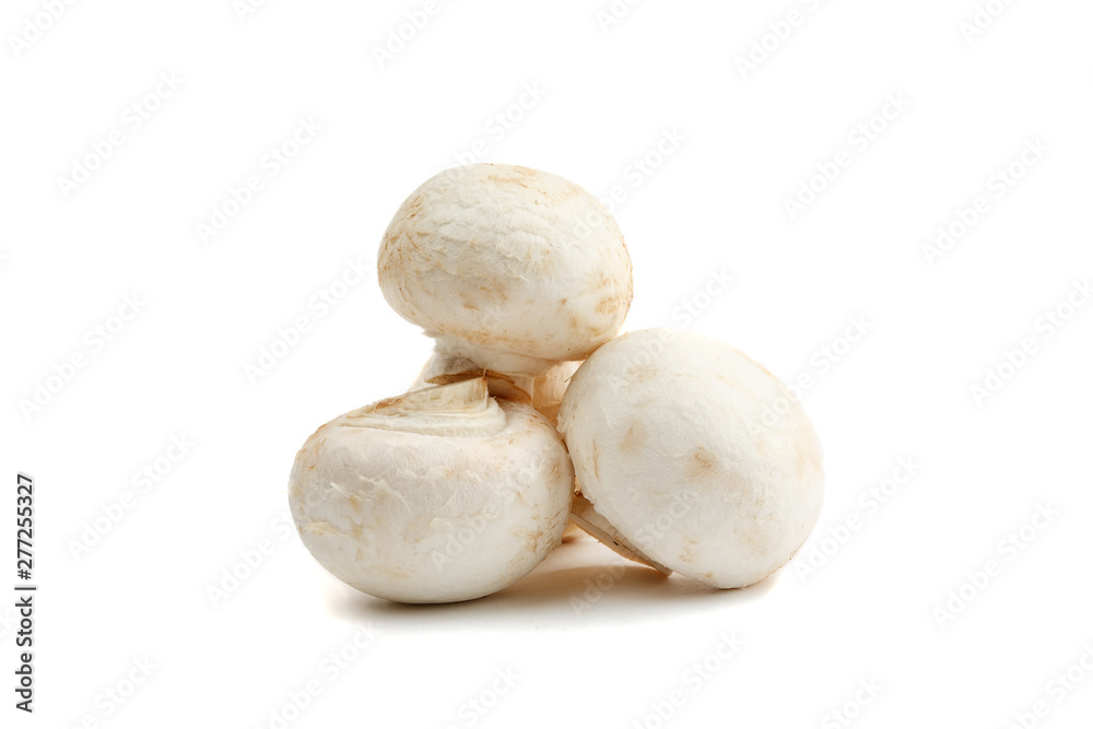 Mushrooms isolated on white, front view, close-up shot Mushrooms isolated on white, front view, close-up shot