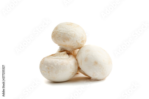 Mushrooms isolated on white, front view, close-up shot