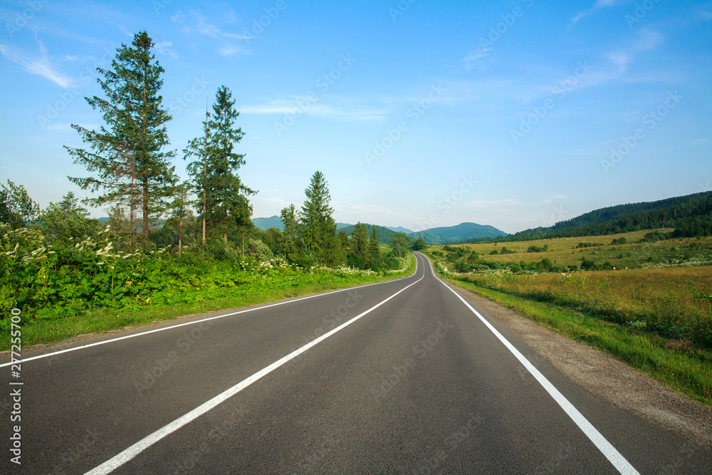 Fototapeta premium Empty asphalt road in Carpathian mountains among forests and fields