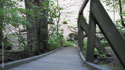 Low angle shot over an old footbridge in the forest. Soderasen nationalpark, Sweden. photo