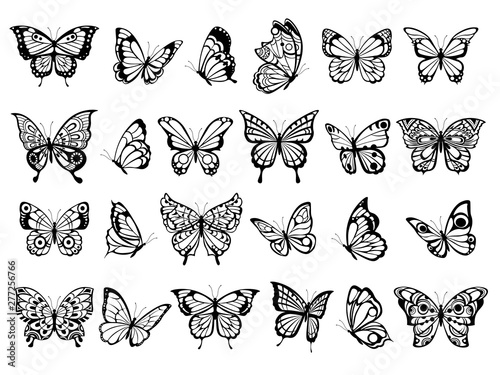 Butterfly collection. Beautiful nature flying insect exotic butterflies with funny wings vector illustration