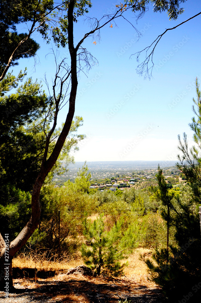 Spectacular views overlooking Adelaide city, South Australia, framed by trees and native Australian bushland, taken at Skye Lookout.