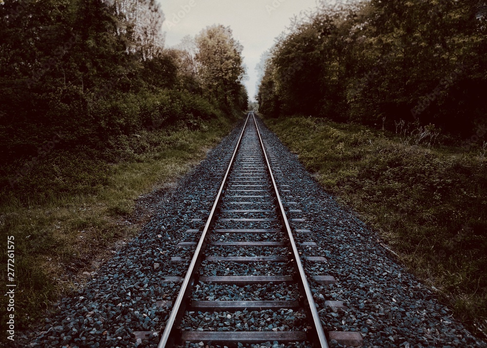 railway in forest