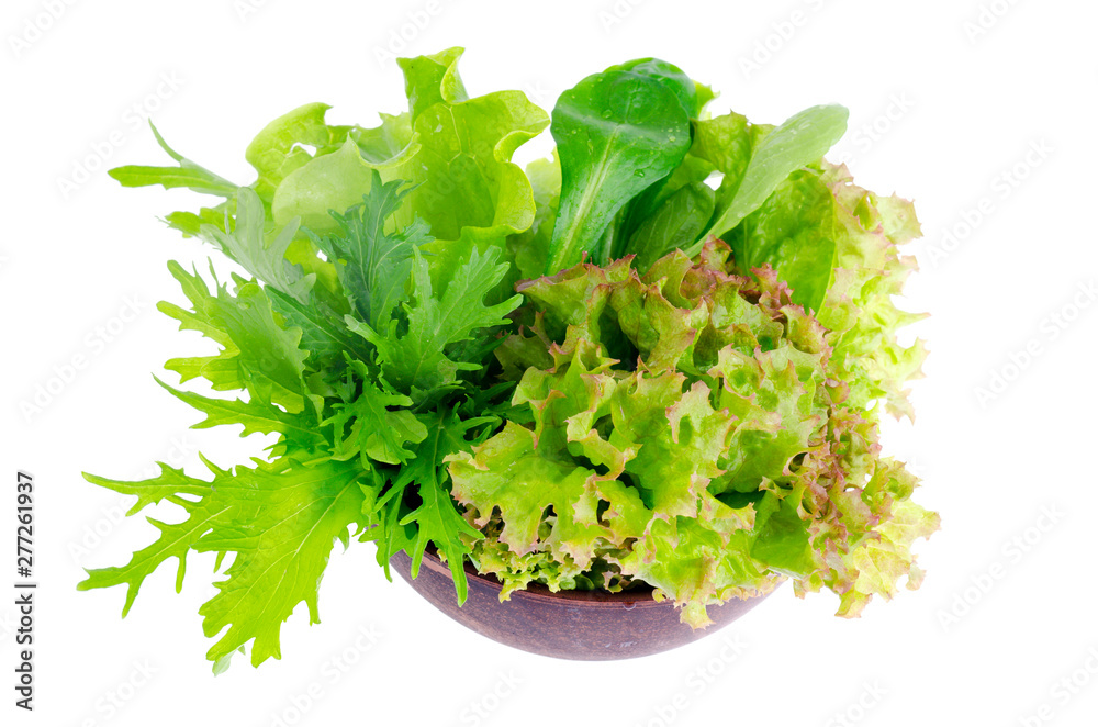 Bowl with fresh green organic leaves. Photo Bowl with fresh green organic leaves. Photo