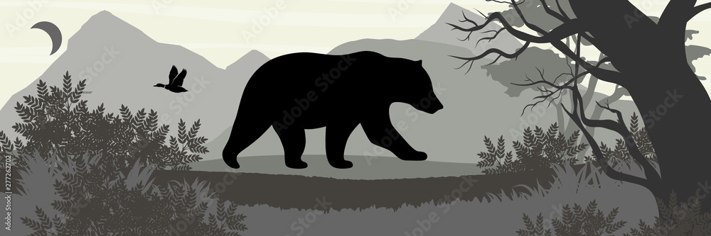 Fototapeta premium bear tree duck moon bush