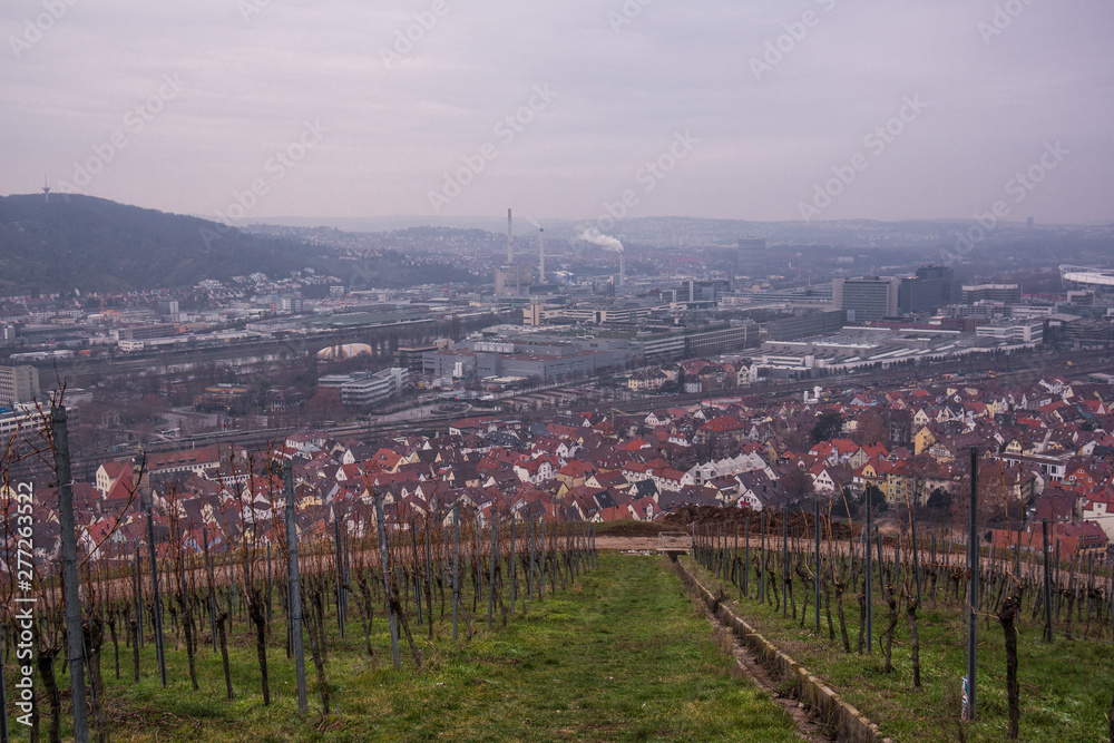 vineyard hill in winter with town in background