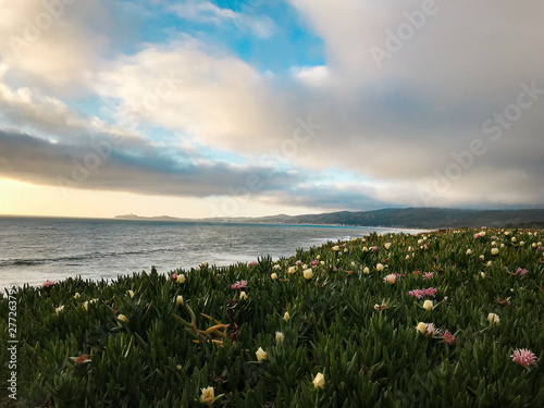 Half moon bay coastline