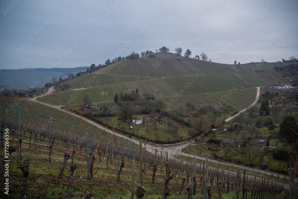 panorama with vineyard hill in winter