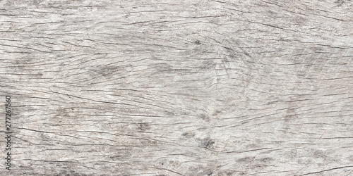 Wallpaper Mural White wooden texture background. wood texture with natural pattern. Old wood wallpaper. Torontodigital.ca