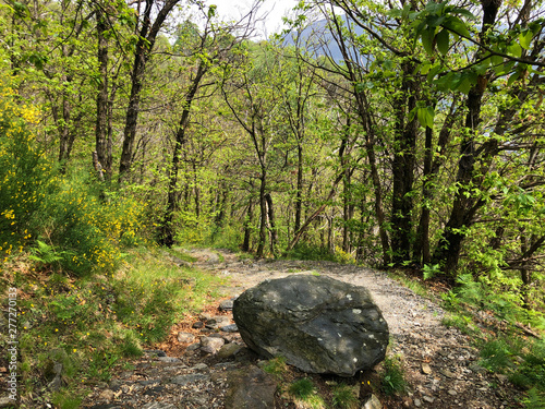 Hiking and walking trails in the valley of the river Ticino valley, Monte Carasso - Canton of Ticino, Switzerland photo