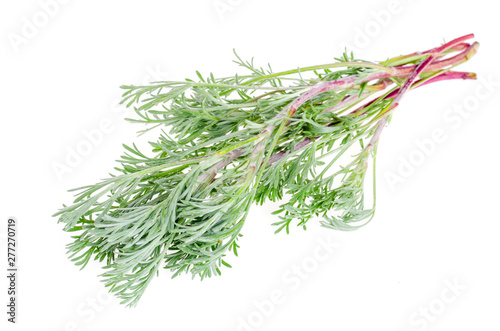 Medicinal plants, herbs isolated on white background. photo