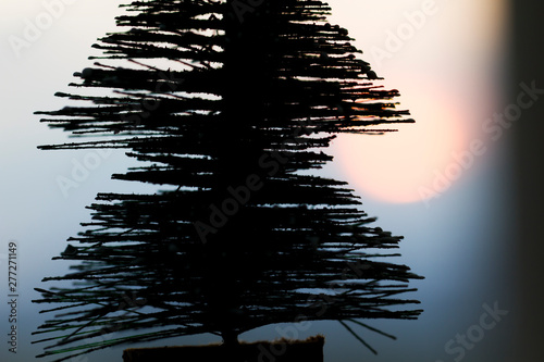 Christmas tree in the sunset