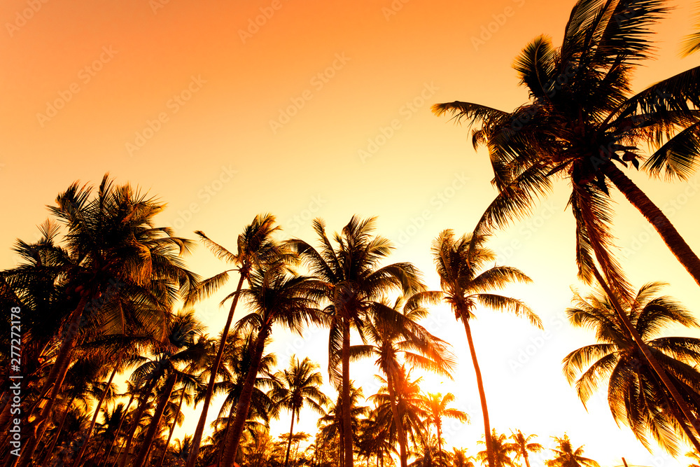 Silhouette of tropical beach during sunset twilight. seascape of summer beach and palm tree at sunset. vintage color tone
