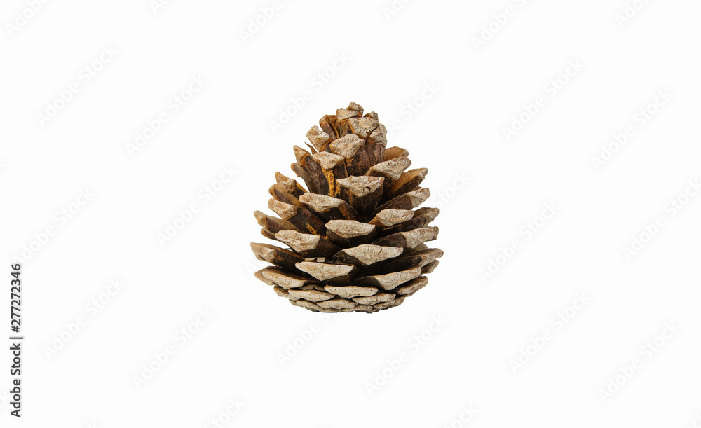 Christmas Pine cone isolated on white background Christmas Pine cone isolated on white background