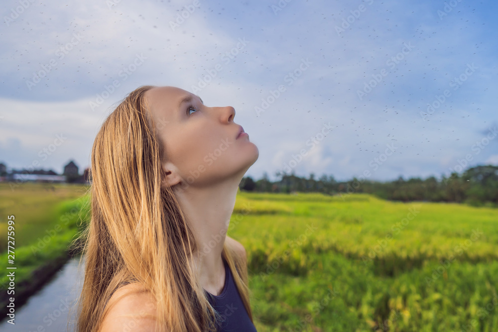 Mosquitoes around a woman on the nature on the field Mosquitoes around a woman on the nature on the field