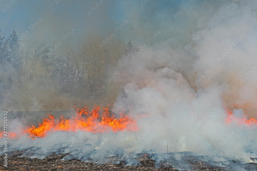 Smoke and Fire and Darkened Skies