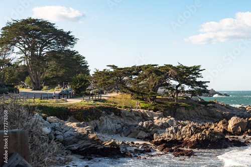 Rocky coastline on Pacific Grove, California.