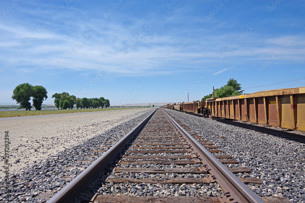 Obraz premium Railroad tracks along a country road and trees on one side and rail transport wagons on the other