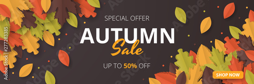 Autumn Sale banner template. Folded Paper art. Vector illustration