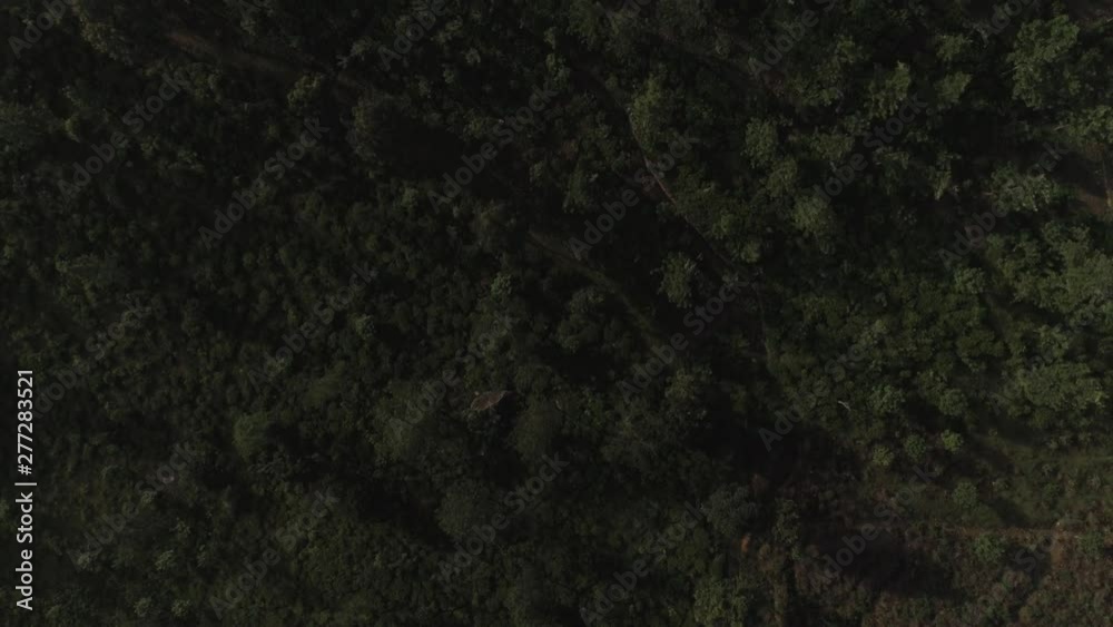 Cinematic Revealing drone shot of a Beautiful hill over trees. Cinematic Revealing drone shot of a Beautiful hill over trees.