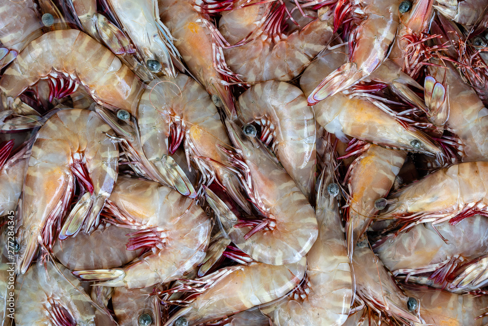 Sea fresh shrimps at street market in Thailand. Seafood concept. Sea fresh shrimps at street market in Thailand. Seafood concept.