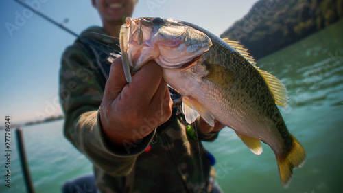 Obraz na płótnie Bass fish in the hand of a fisherman