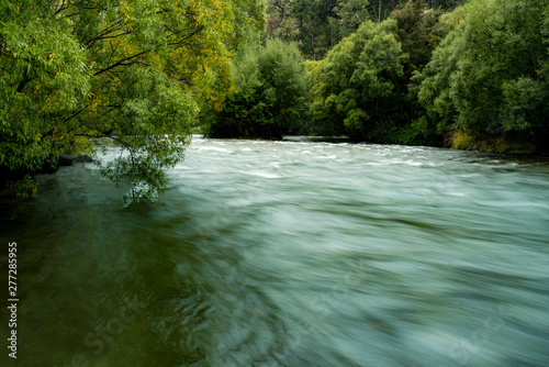 Fast plowing clean river flowing through lush native bush