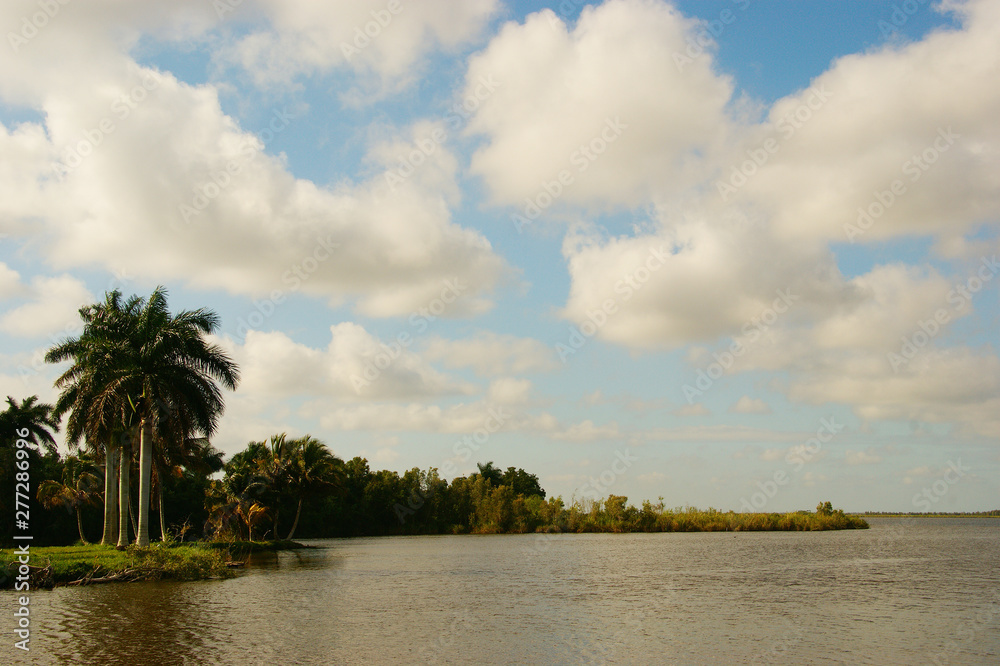Obraz premium Zapata National Park. The Zapata Swamp is located on the Zapata Peninsula in the southern Matanzas Province of Cuba