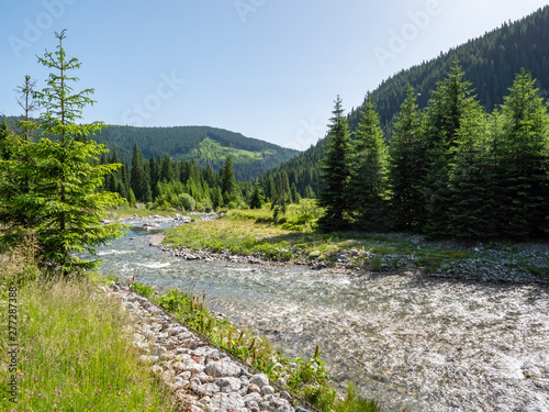 Bergbach im Transalpina Gebirge