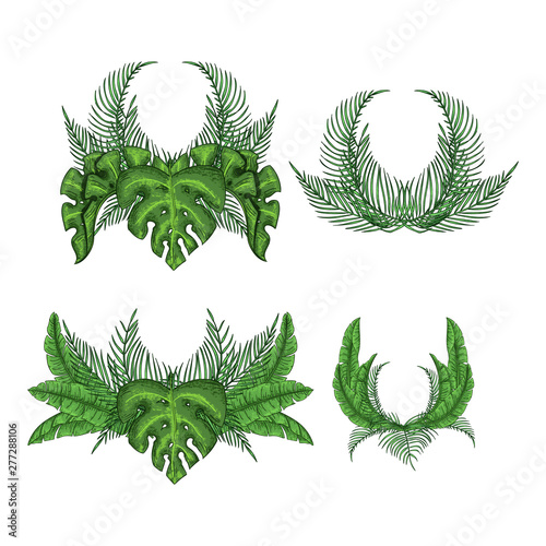 Tropical wreath palm leaves set, jungle leaf