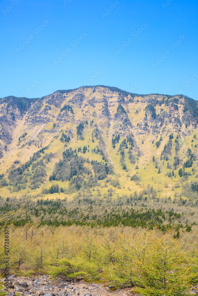 湯ノ平高原から望む黒斑山 長野県小諸市 湯ノ平高原から望む黒斑山 長野県小諸市