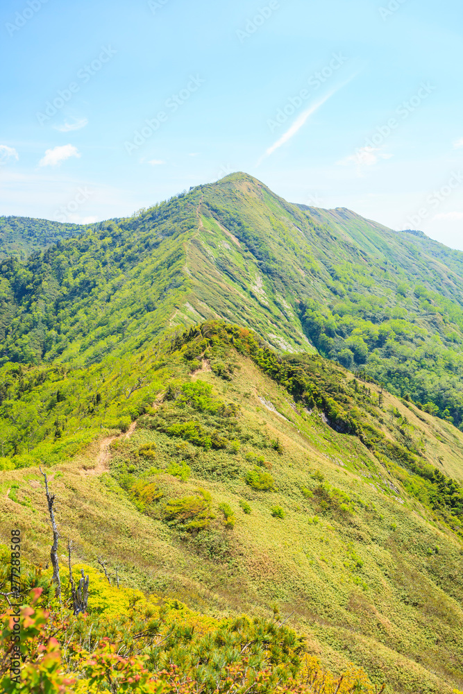 Fototapeta premium 初夏の白砂山の稜線 群馬県 長野県 新潟県