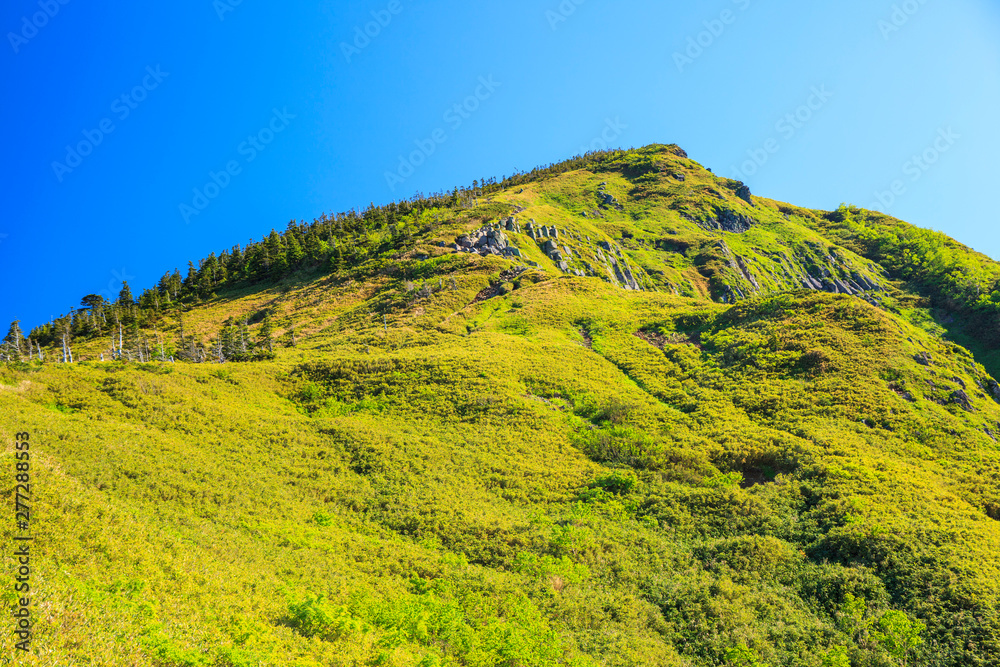 Obraz premium 初夏の岩菅山 長野県 山ノ内町