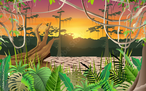landscape of dry marsh in the jungle in morning