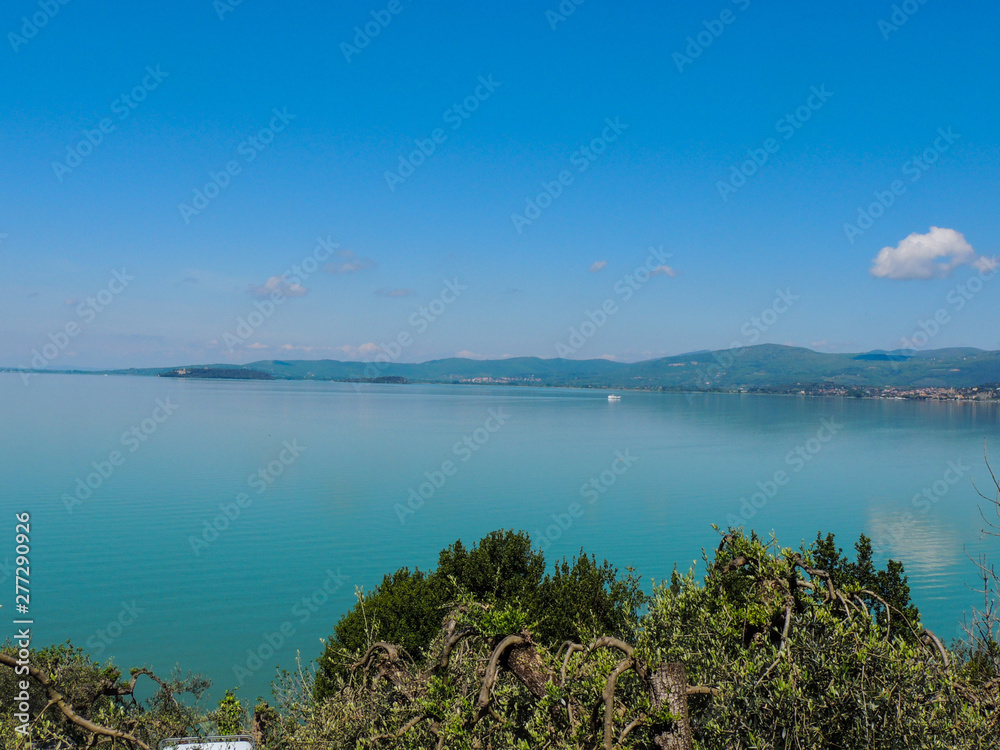 View of Trasimeno Lake with the typical vegetation, Umbria, Italy.