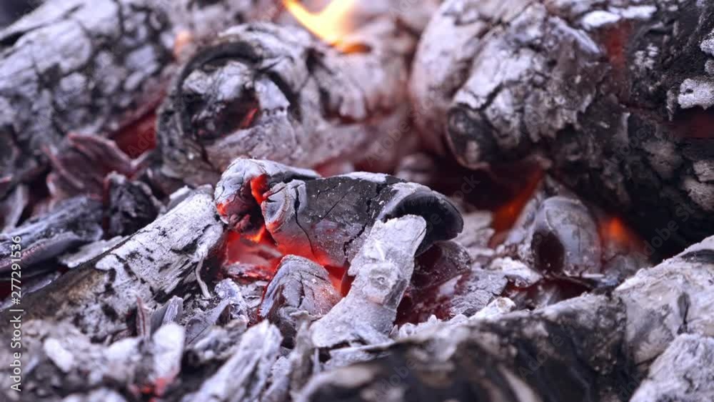 Money burning in glowing firewood. Background of black embers and one hundred dollars banknote burning quickly. Close-up. Money burning in glowing firewood. Background of black embers and one hundred dollars banknote burning quickly. Close-up.