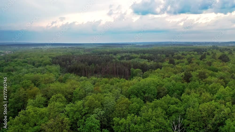Aerial view of green forest under the cloudy sky. Scenic landscape of tranquil atmosphere among green trees of a forest outdoors. Flying over the tops of trees. Aerial view of green forest under the cloudy sky. Scenic landscape of tranquil atmosphere among green trees of a forest outdoors. Flying over the tops of trees.