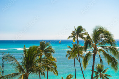 Ocean view with palm trees in Oahu, Hawaii