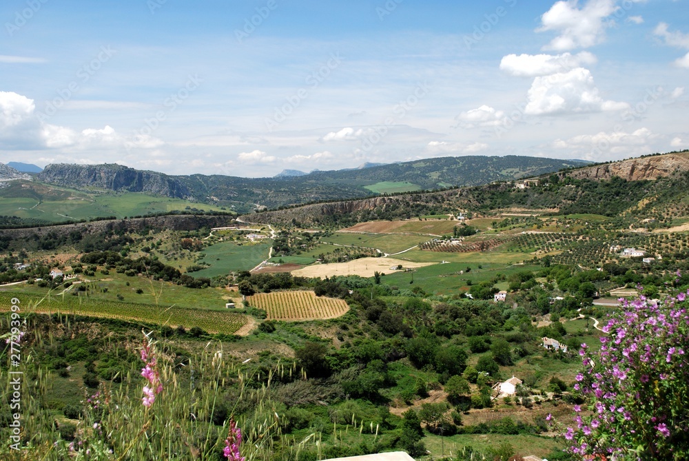 Elevated view across farmland and the countryside towards the mountains with Spring wildflowers in the foreground, Ronda, Spain.